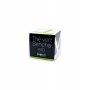 Boite Pyramide - Thé vert Sencha Bio