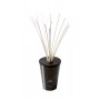 Mikado Amber & Sandalwood - 3000 ml - pack Complet - Cereria Molla 1899